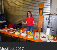 Mostfest 2017
