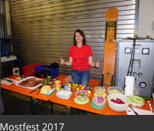 Mostfest 2017