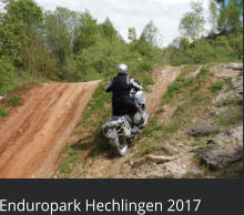 Enduropark Hechlingen 2017
