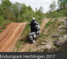 Enduropark Hechlingen 2017