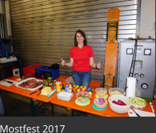 Mostfest 2017