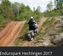 Enduropark Hechlingen 2017